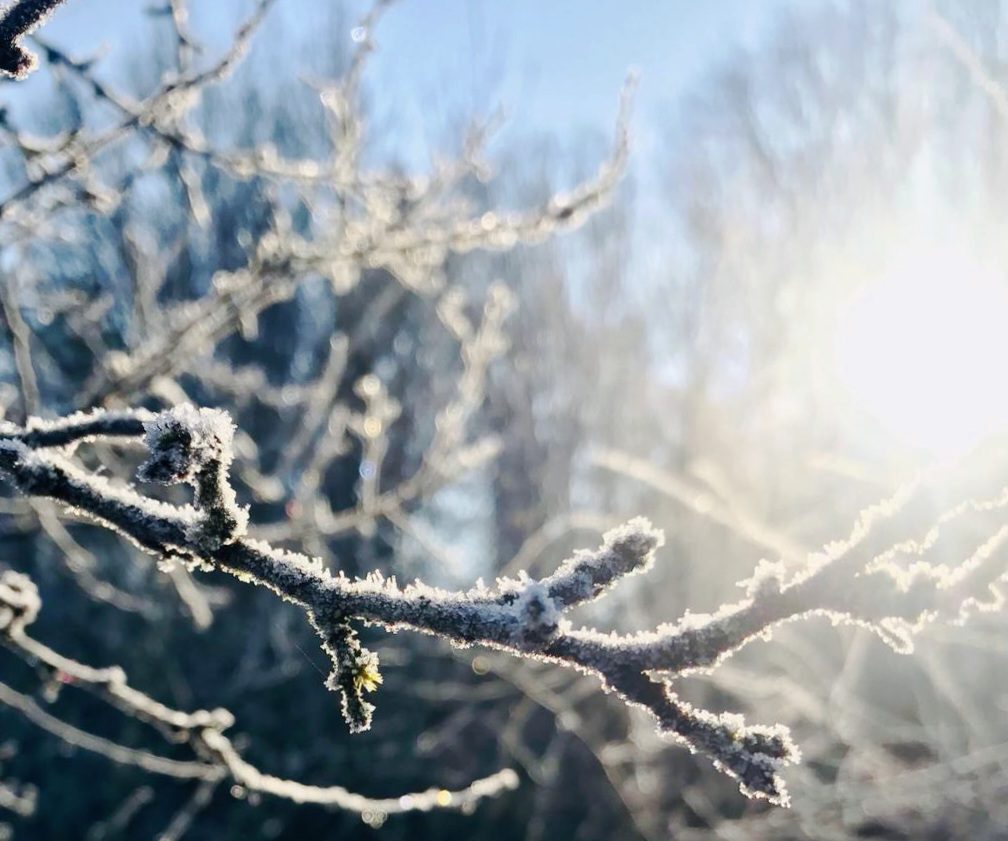 Winterwandeling