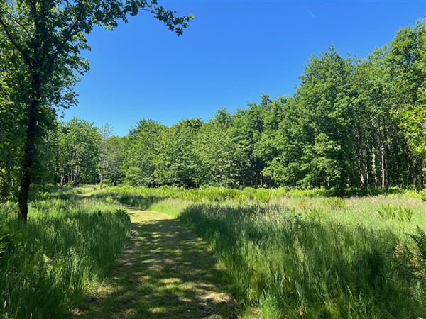 Natuurbegraafplaats Groningen