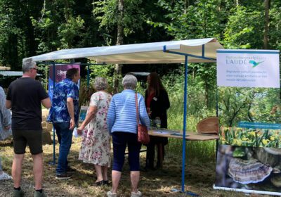 Stand inspiratiedag