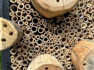 Insectenhotel Laude